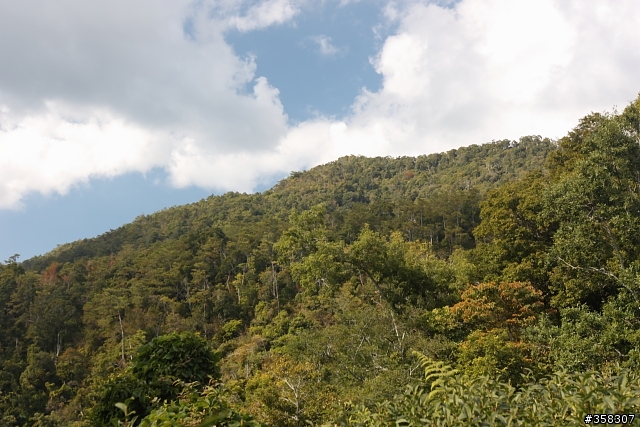 南東眼山