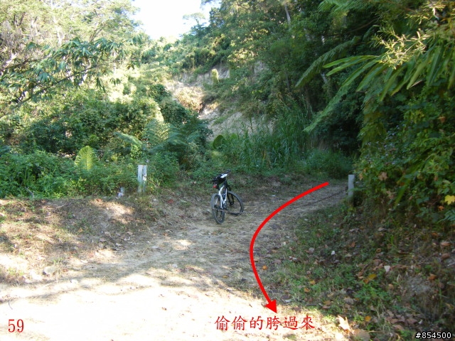 霧峰鄉山林縱騎-桐林-南坑-峰谷-九九峰-象鼻坑