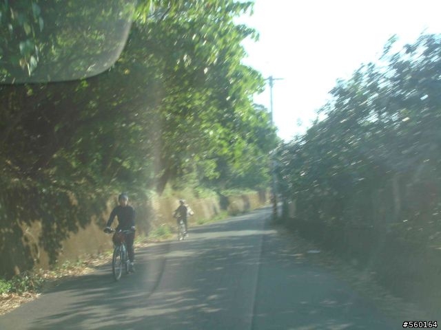 逍遙遊的1.) 挑戰路線探勘(照片多)--(第八屆)『2008八卦山脈 美利達盃&單車嘉年華』