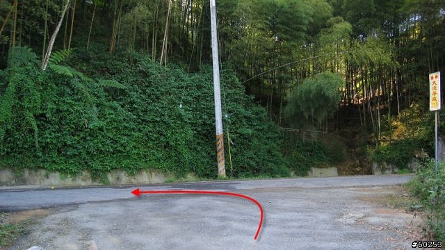 南投縣 鹿谷小半天→山豬湖產業道路→大崙山→羊彎→溪頭→鹿谷小半天