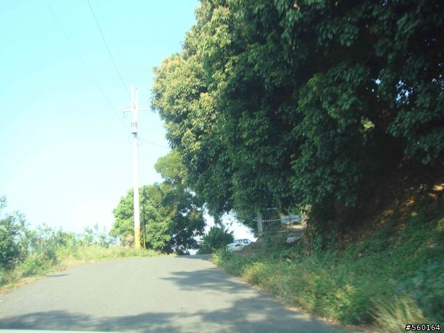 逍遙遊的1.) 挑戰路線探勘(照片多)--(第八屆)『2008八卦山脈 美利達盃&單車嘉年華』