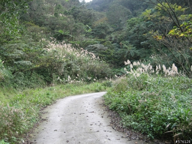 勇闖汐止最強地獄坡,風櫃嘴烘爐地.和這個不能比...汐平路--小坑路--鵠鵠崙路---四分尾山640M---勤進路--天道院--天秀宮--汐止市