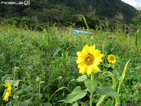 我與我的RV150，環東之旅全記錄（圖多有影）