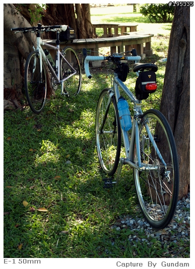 低調美學[鈦金屬公路車]簡易開箱文
