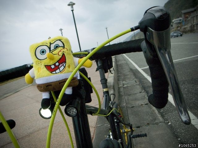 悠哉工作之花蓮單車隨意遊
