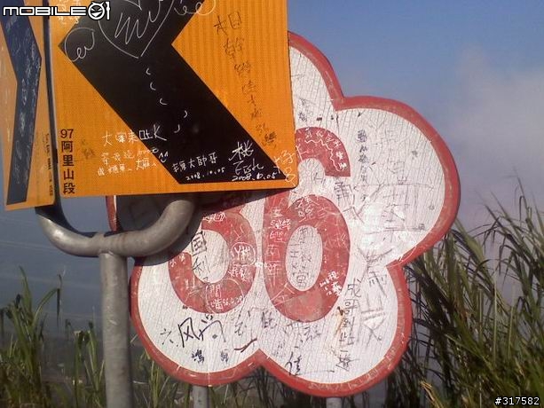 [遊記]快要消失的綠色隧道-嘉58縣道