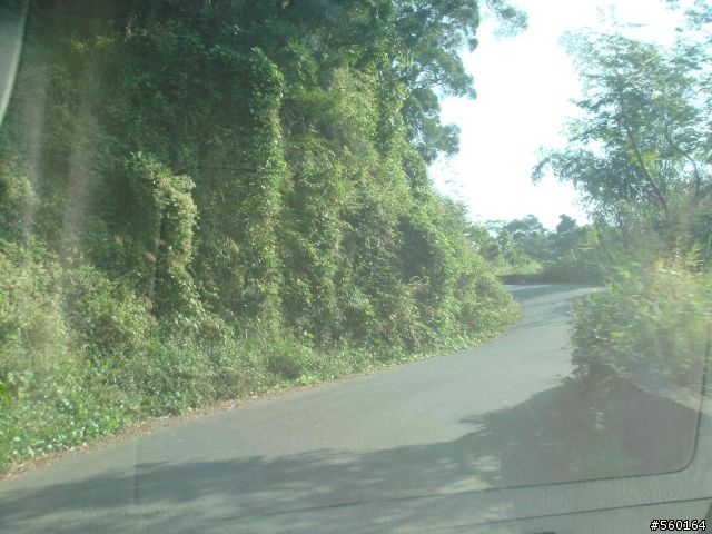 逍遙遊的1.) 挑戰路線探勘(照片多)--(第八屆)『2008八卦山脈 美利達盃&單車嘉年華』
