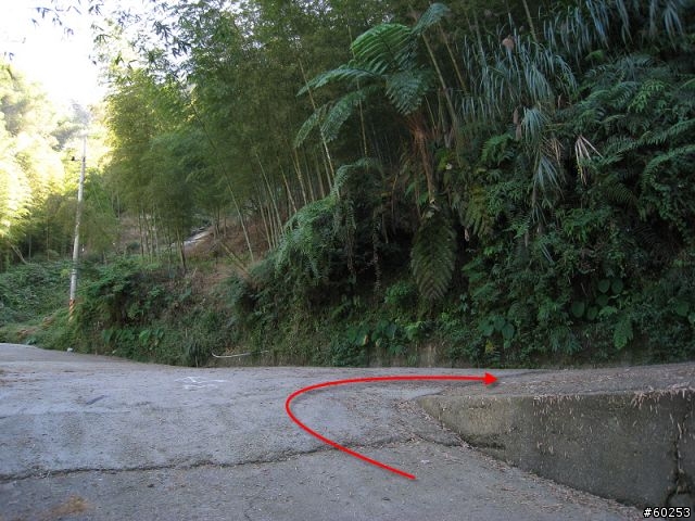 南投縣 鹿谷小半天→山豬湖產業道路→大崙山→羊彎→溪頭→鹿谷小半天
