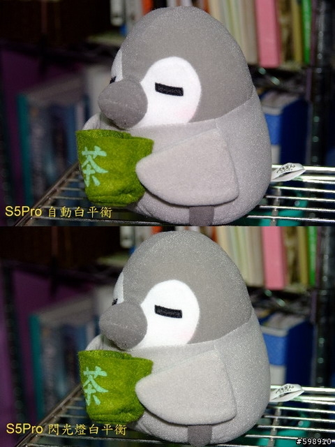 同父異母的差異血統Fujifilm S5Pro VS Nikon D80