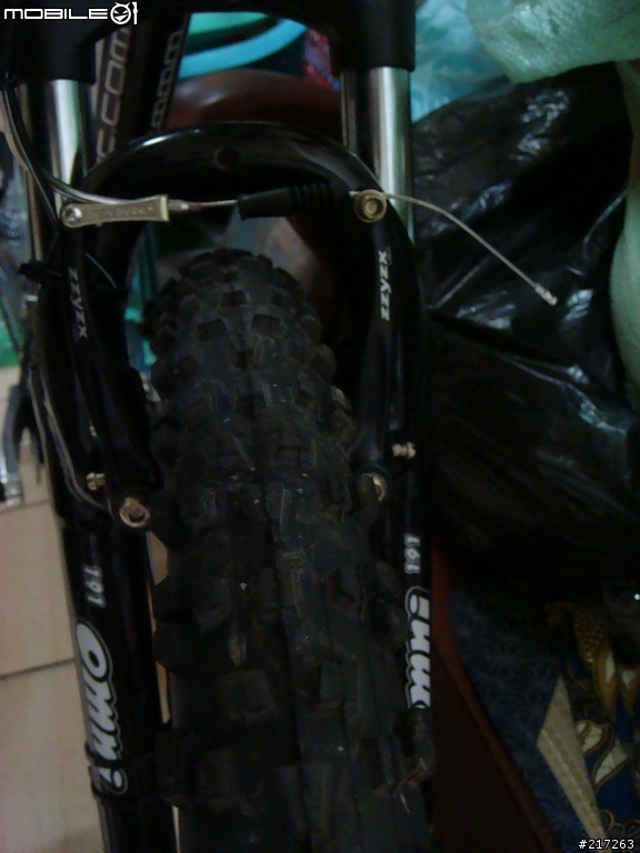 我的入門車Corratec X-Vert Baco