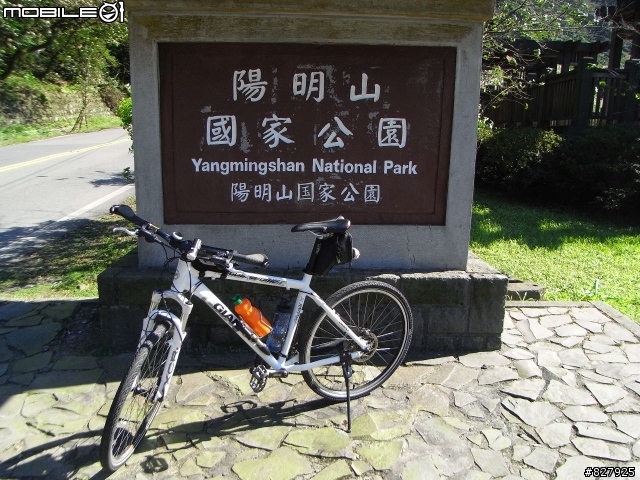 [遊記分享]陽金山海之戀騎乘