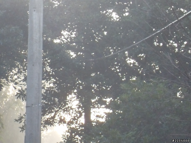 [12/20]SR G4 巴拉卡兜風