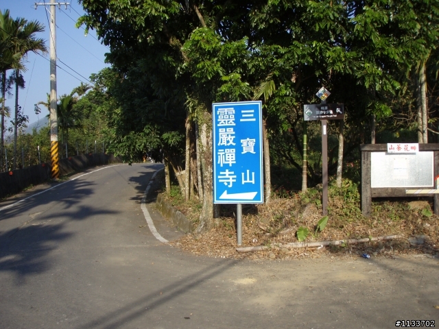[約騎]1月2日賞山茶花之旅.確定取消.造成不便請見諒.