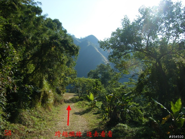霧峰鄉山林縱騎-桐林-南坑-峰谷-九九峰-象鼻坑
