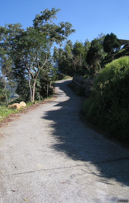 南投縣 鹿谷小半天→山豬湖產業道路→大崙山→羊彎→溪頭→鹿谷小半天