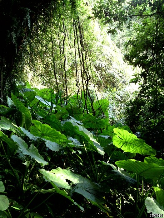 烏來有內洞 _ C905