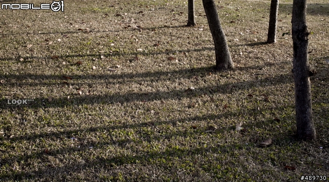 CANON 50D新手