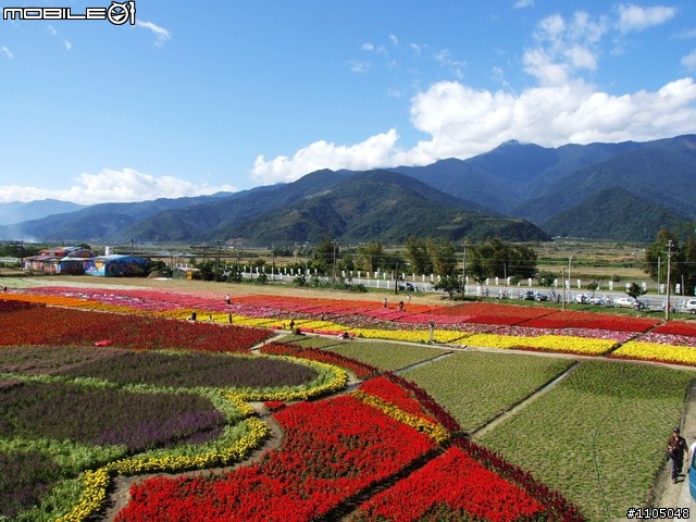 玉里-池上練騎,巧遇富里花季開幕