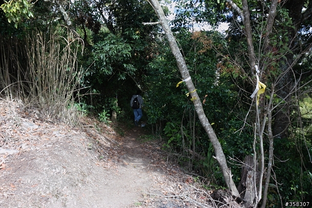 南東眼山