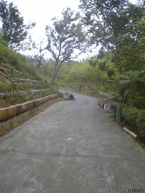 【約騎】2/21(星期六) 草屯茄荖山牛屎崎環保生態園區