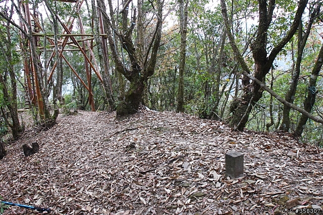 荷戈富士山
