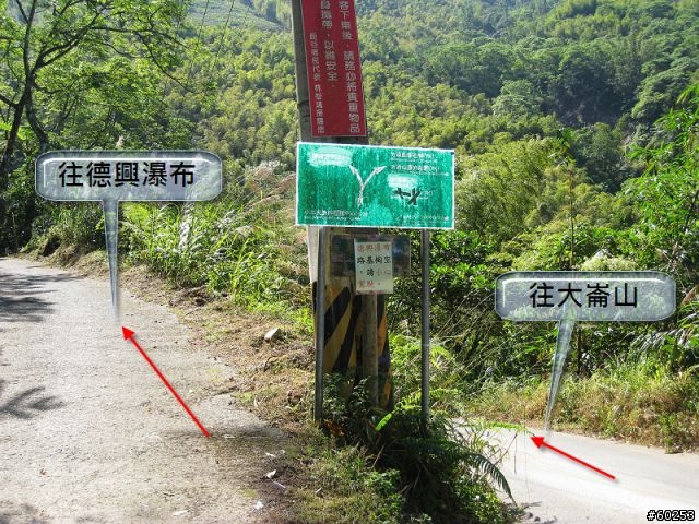 南投縣 鹿谷小半天→山豬湖產業道路→大崙山→羊彎→溪頭→鹿谷小半天