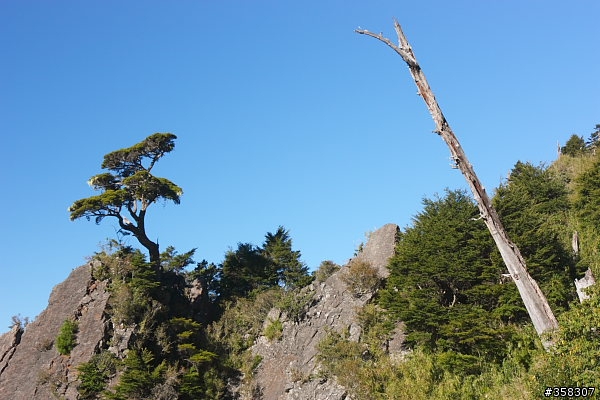 玉山主峰