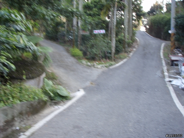 [約騎]1月2日賞山茶花之旅.確定取消.造成不便請見諒.