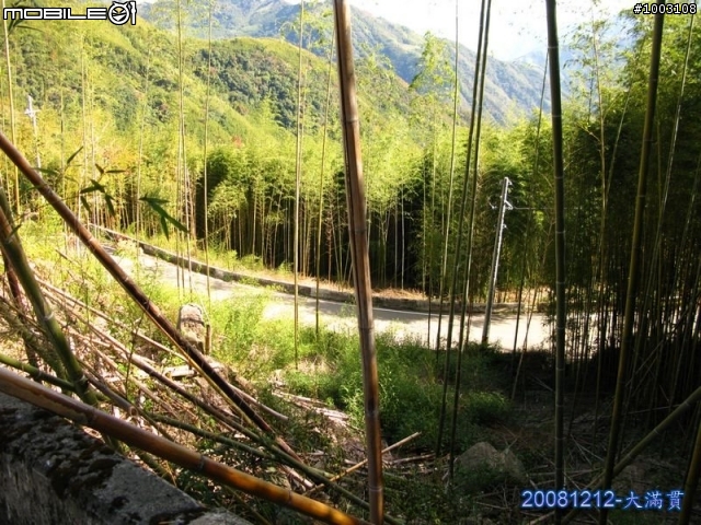 『分享遊記』一人獨自漫遊尖石後山之大滿貫