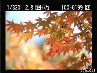 無敵兔第三篇 風景與棚拍人像