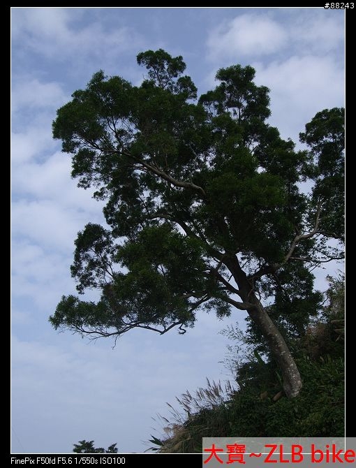 [遊記]獨立山步道驚險之旅