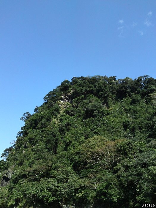 烏來有內洞 _ C905