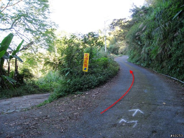 南投縣 鹿谷小半天→山豬湖產業道路→大崙山→羊彎→溪頭→鹿谷小半天