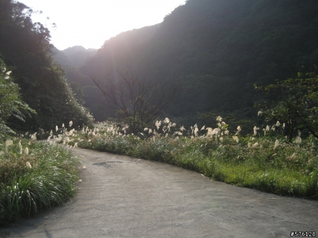 勇闖汐止最強地獄坡,風櫃嘴烘爐地.和這個不能比...汐平路--小坑路--鵠鵠崙路---四分尾山640M---勤進路--天道院--天秀宮--汐止市