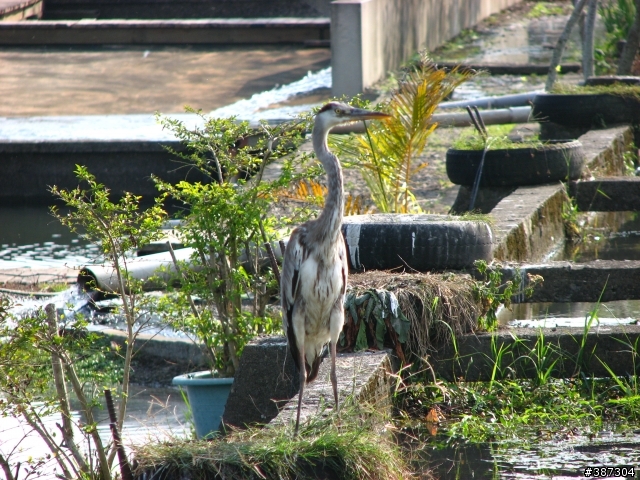 勝洋農場_三星一日遊