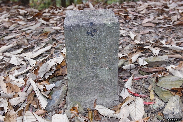 荷戈富士山