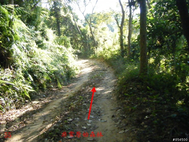 霧峰鄉山林縱騎-桐林-南坑-峰谷-九九峰-象鼻坑