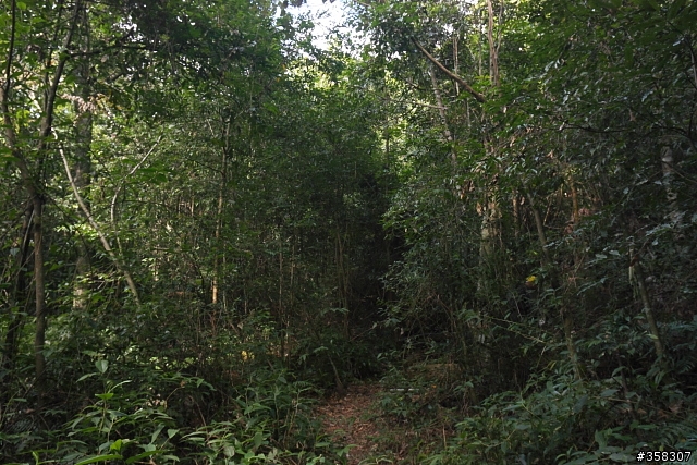 南東眼山