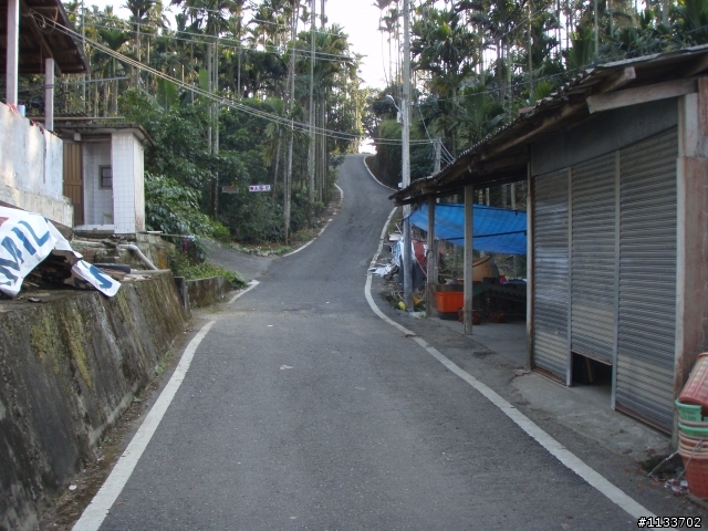 [約騎]1月2日賞山茶花之旅.確定取消.造成不便請見諒.