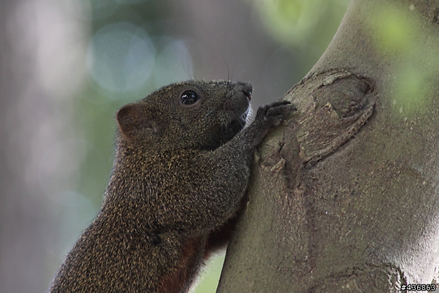 千年傳統．全新感受 ── 重新發現小小黑 EF 70-300mm F4-5.6 IS USM
