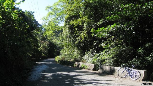南投縣 鹿谷小半天→山豬湖產業道路→大崙山→羊彎→溪頭→鹿谷小半天