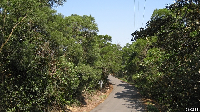 苗栗縣 銅鑼九湖自行車道