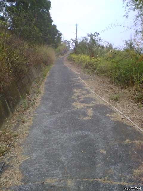 【約騎】2/21(星期六) 草屯茄荖山牛屎崎環保生態園區