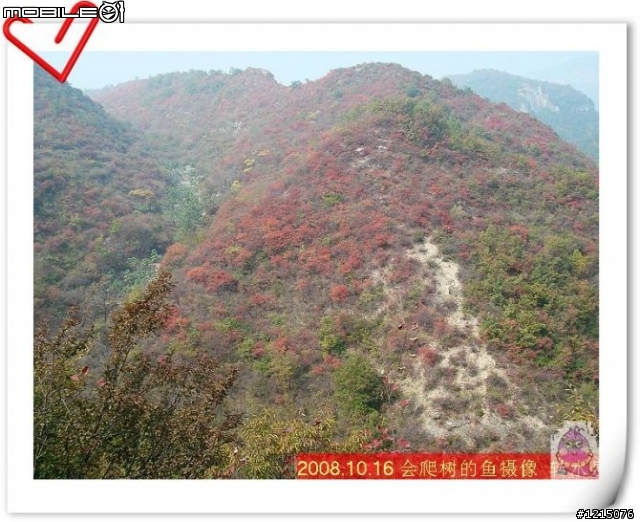 大家好，我是新来的！