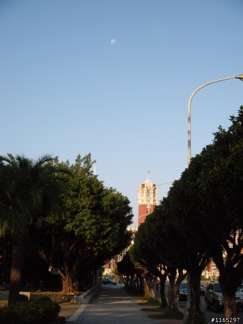 今早明月高掛總統府上空