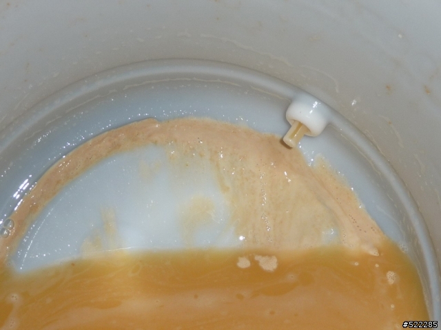 [分享] 自釀啤酒裝瓶 (二次發酵)