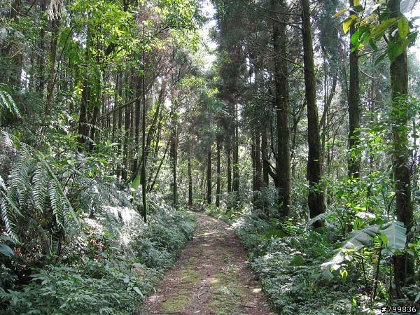 熊空山offroad越嶺