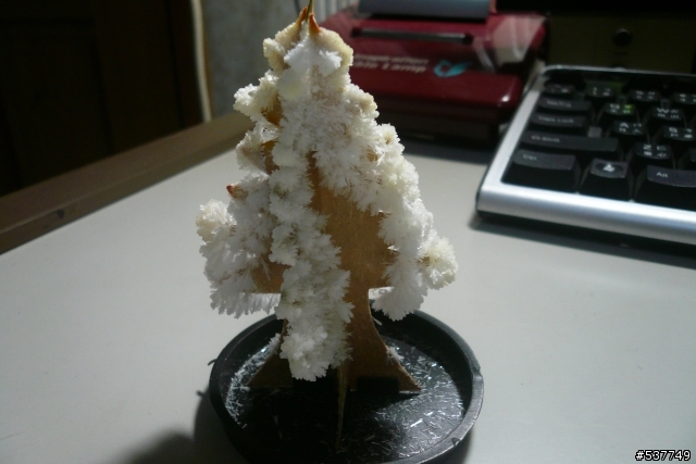 [分享]重溫兒時回憶～～會開花的紙樹