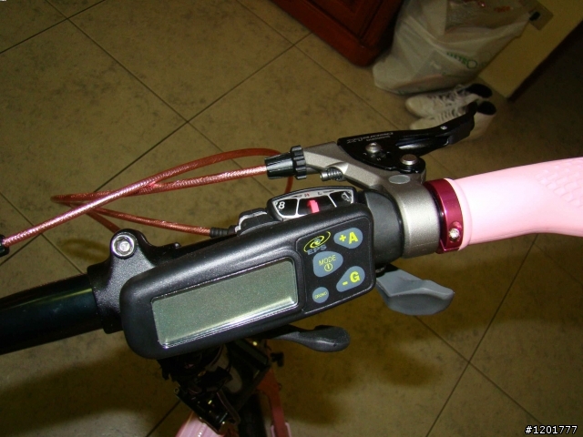 全台第一 ; 電動 Pink Birdy BionX