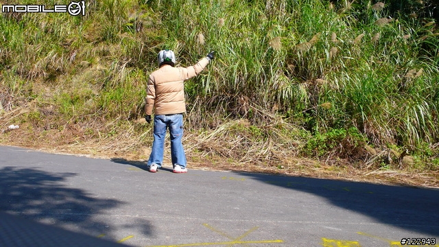 [12.29更新]小跑新竹五指山接南庄-約跑?月?號